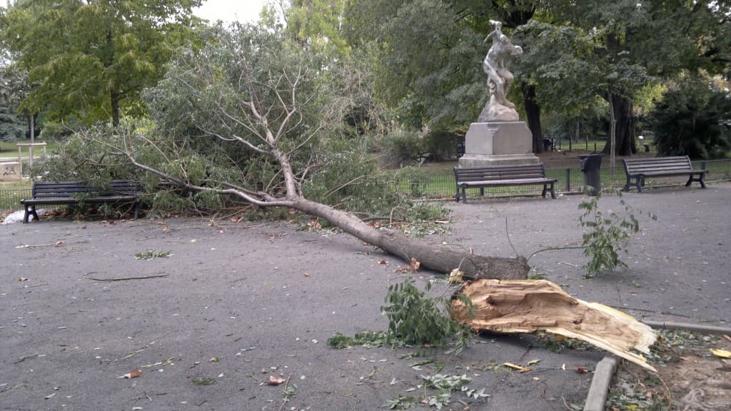dégâts de la tempête sur l'esplanade