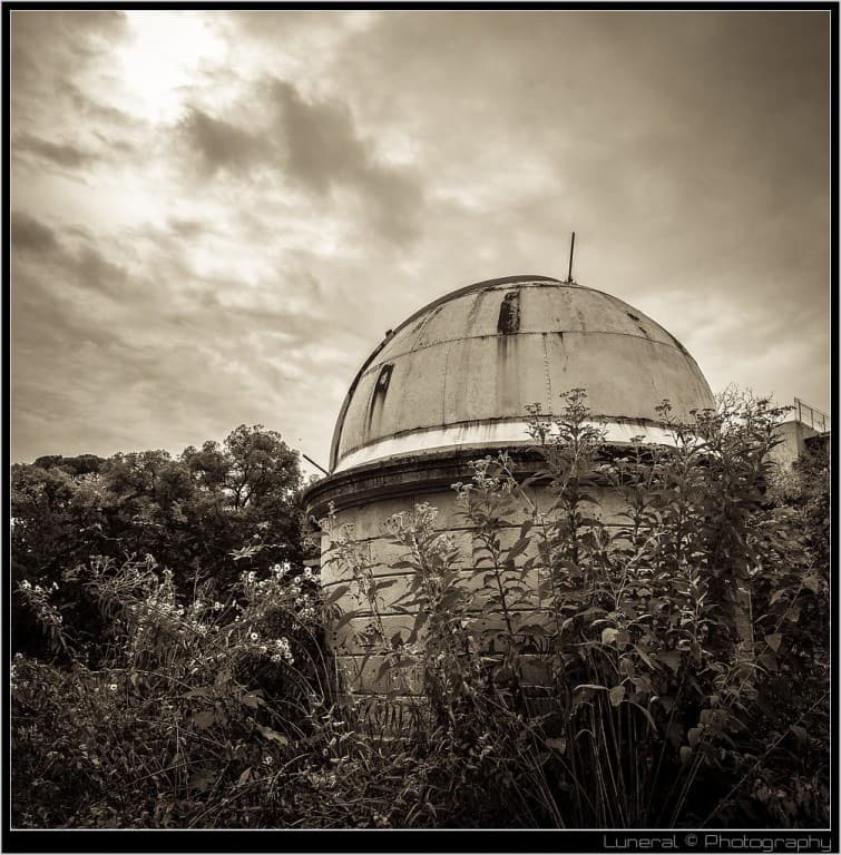Jardin des plantes