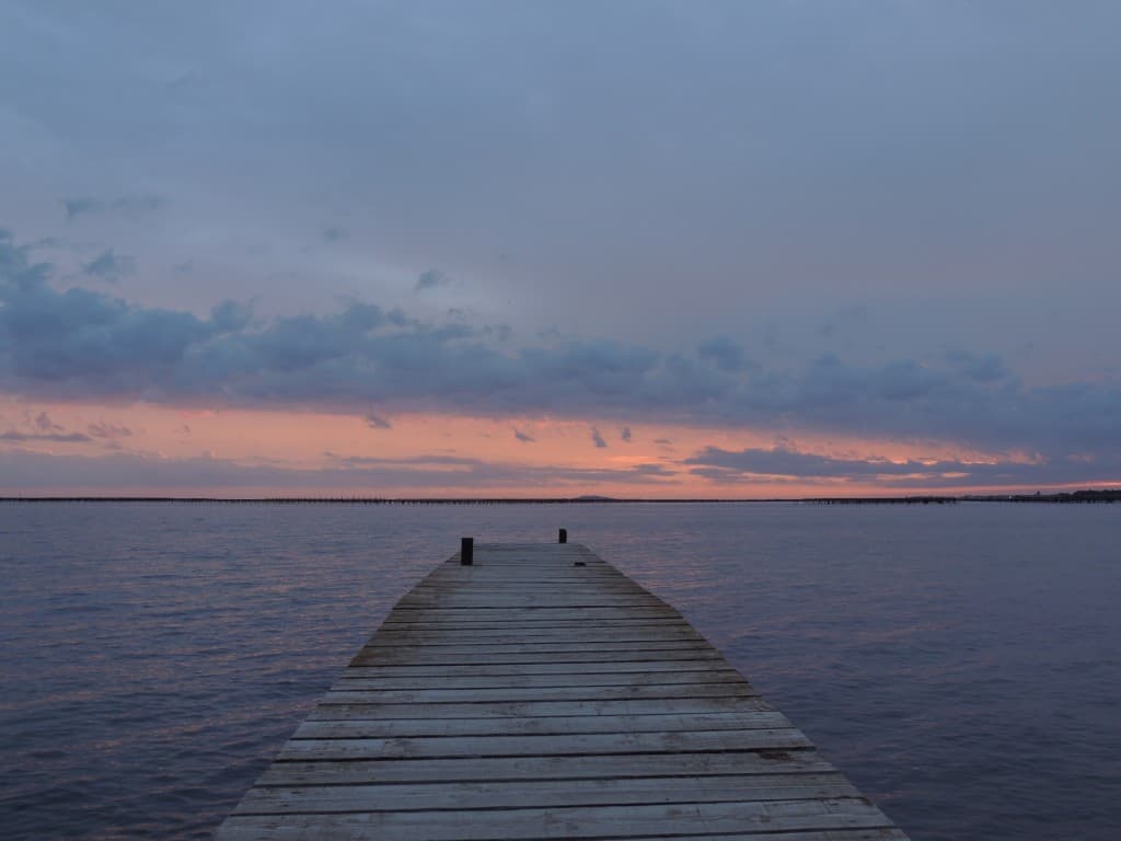 Fin d'après-midi