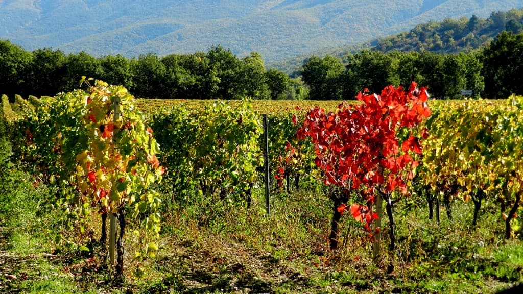 l'automne revêt ses couleurs