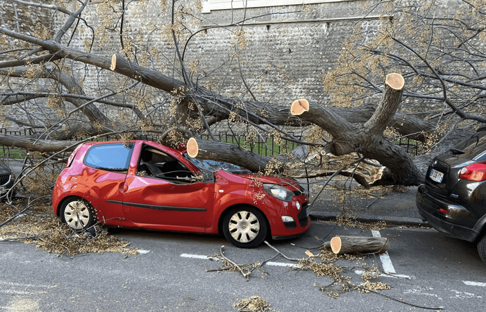 1 mort et de gros dégâts : la tempête Nils a frappé fort !