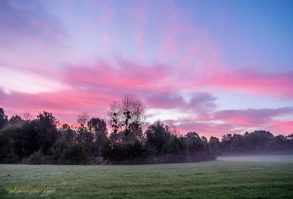 Couleur du petit jour