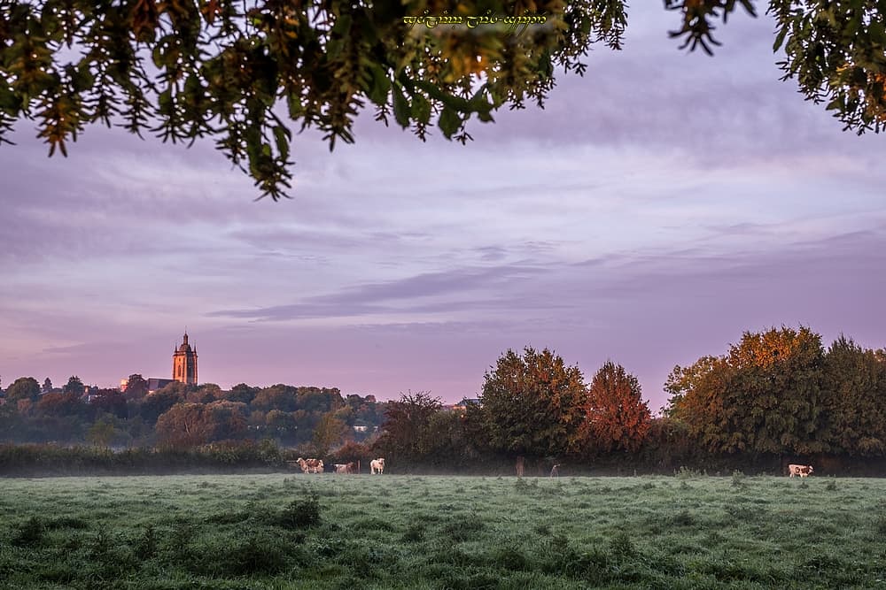 Bocage d'automne