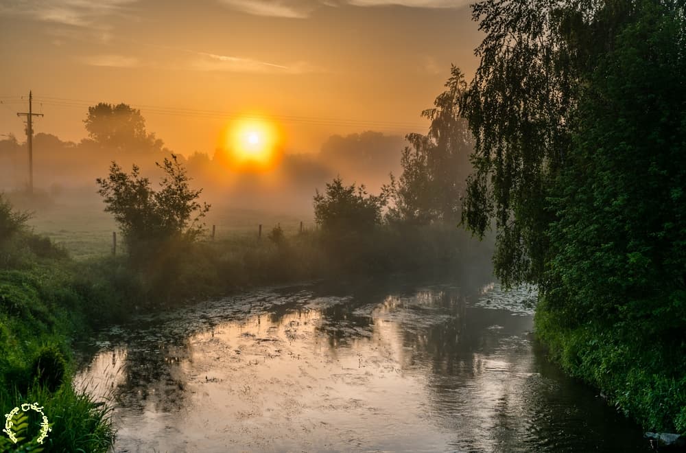 Brume de rivière