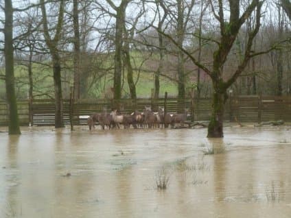 Image d'illustration pour Suivi des intempéries dans le Sud-Ouest et près des Pyrénées