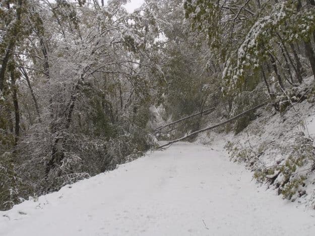 Image d'illustration pour Fortes neiges en Europe Centrale (Balkans - Carpates)