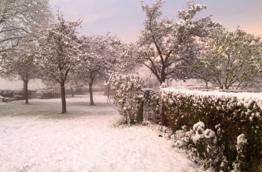 Image d'illustration pour Premières neiges en Normandie, Picardie et Nord Pas de Calais