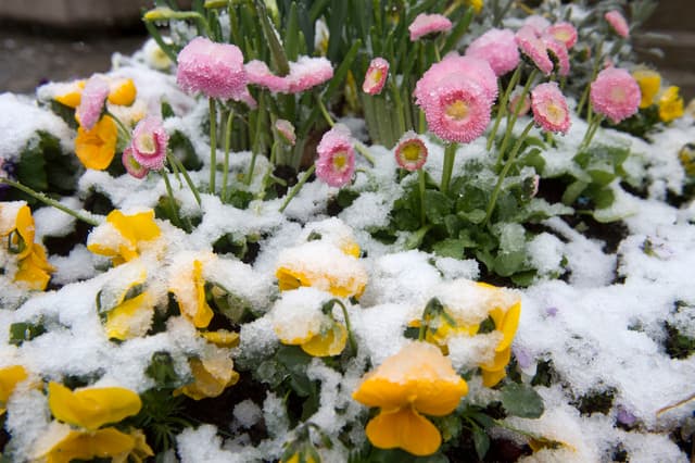 Image d'illustration pour Début de week-end : fraîcheur, précipitations et neige en montagne