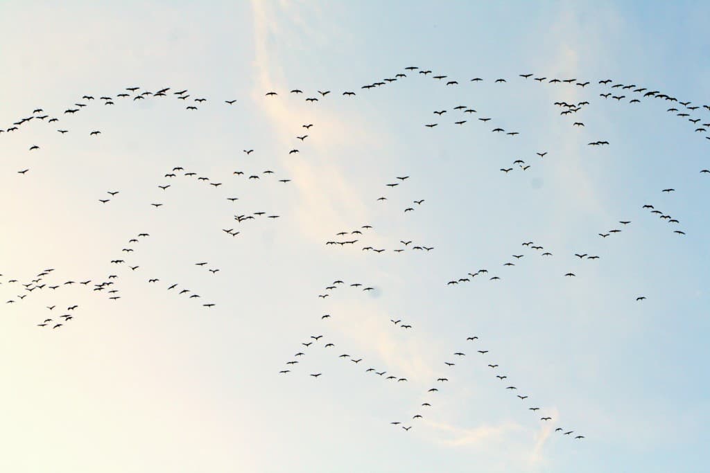 Image d'illustration pour Vos photos météo de la semaine