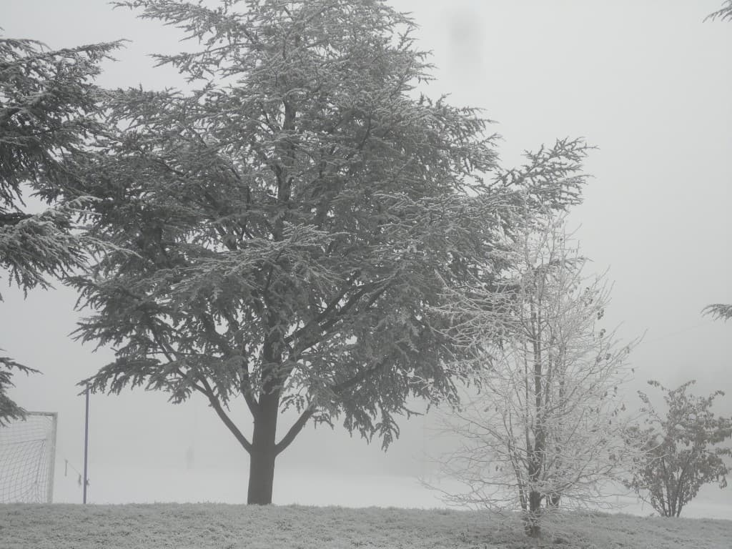Image d'illustration pour Vos plus belles photos de givre