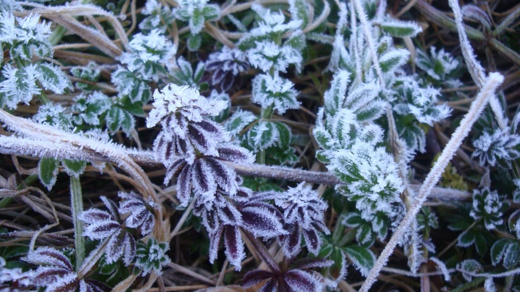 Image d'illustration pour Vos photos météo de la semaine