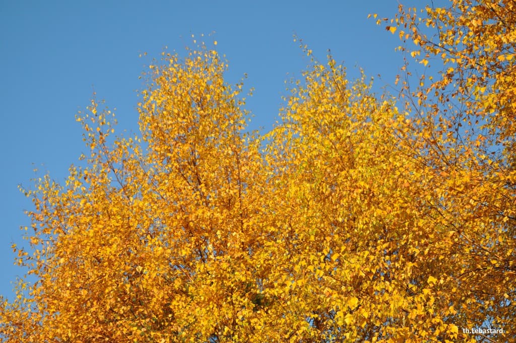 Image d'illustration pour Vos photos météo de la semaine