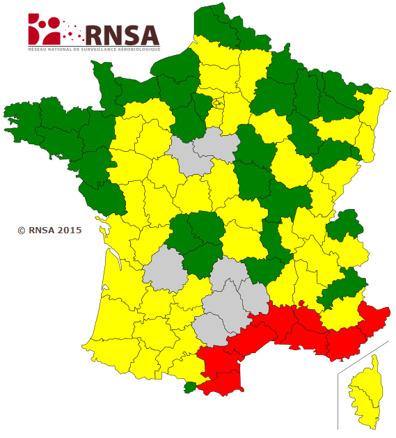 Image d'illustration pour Pollen et allergie : risque maximal en Méditerranée