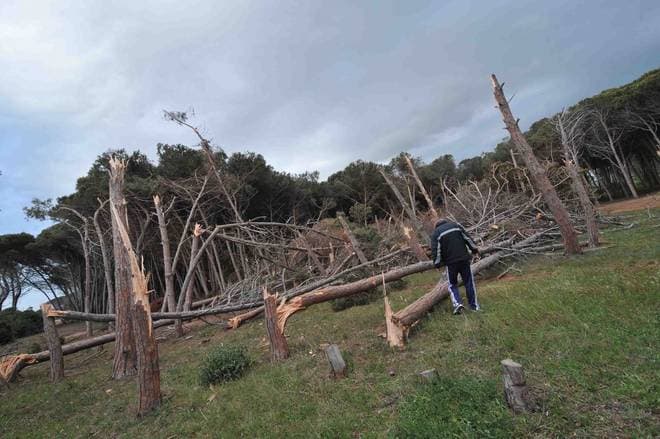Image d'illustration pour Tornade à Civitavecchia près de Rome (Italie)