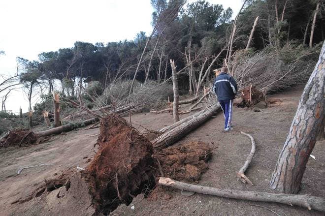 Image d'illustration pour Tornade à Civitavecchia près de Rome (Italie)