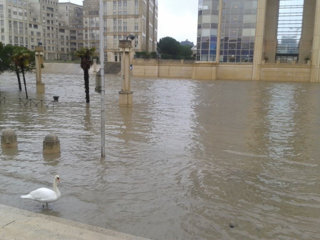 Crue du lez