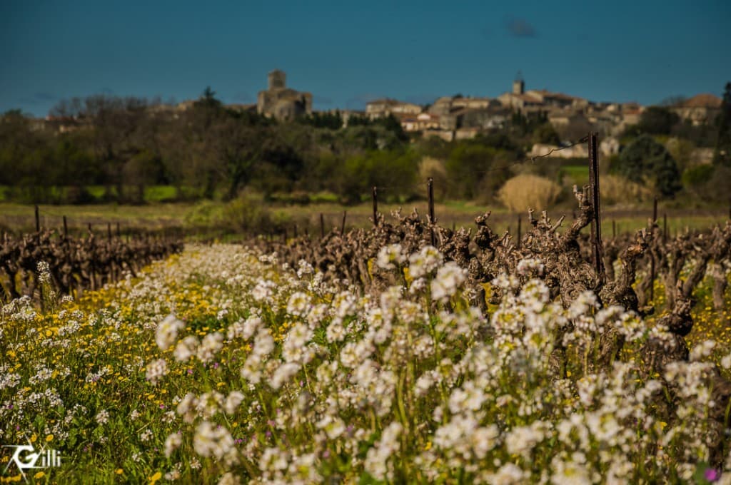 Le printemps ... enfin
