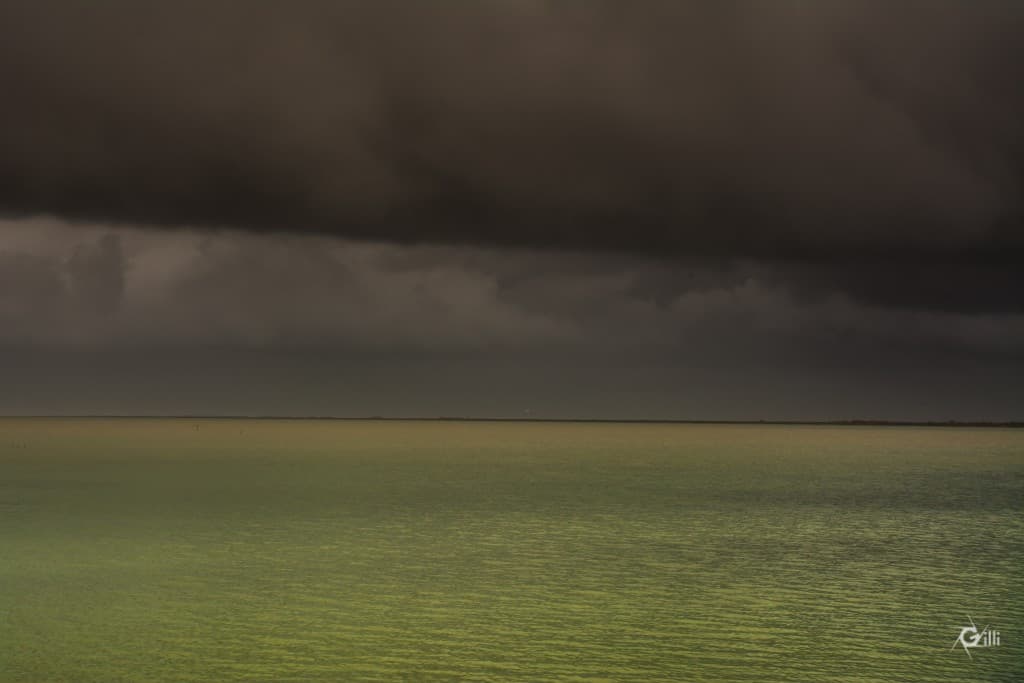 L'Etang de Vic