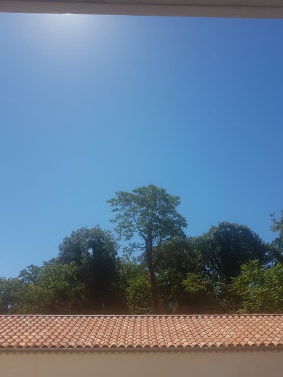 temps magnifique