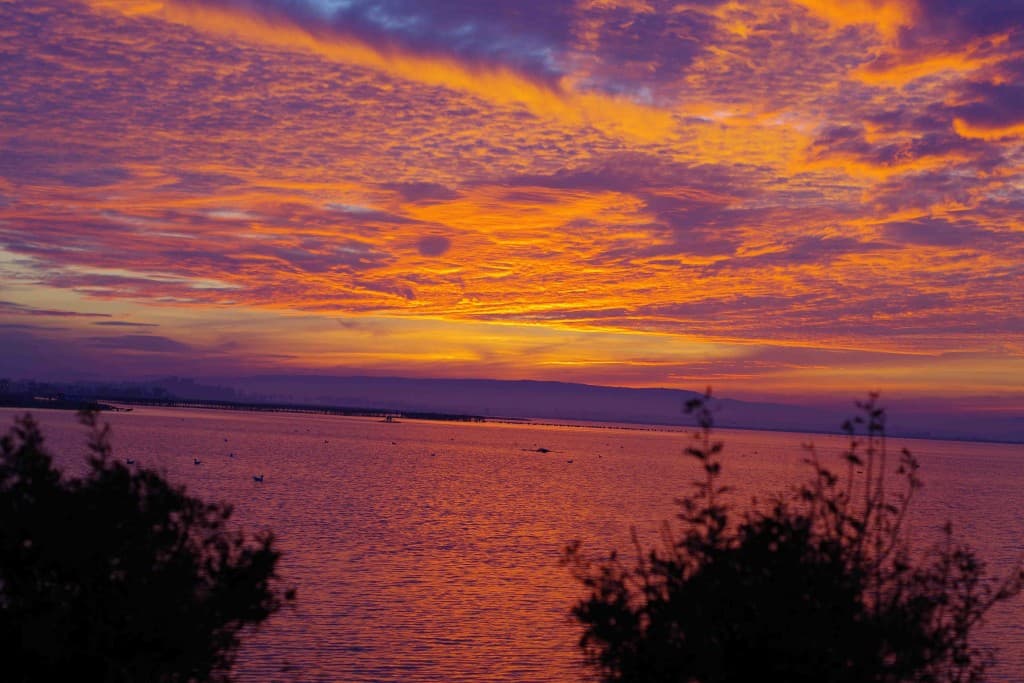 Ciel flamboyant
